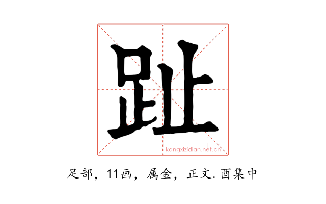 趾