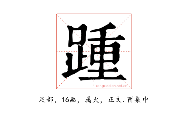踵