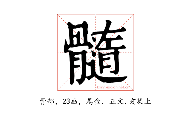 髓