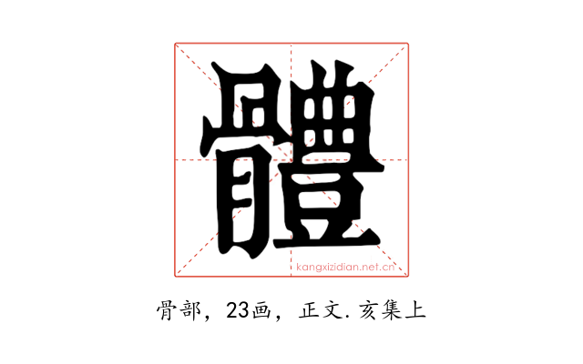 體