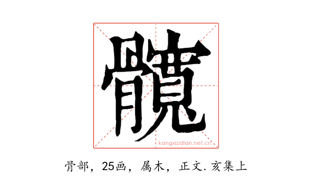 髖