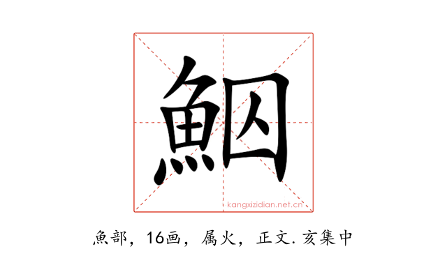 鮂