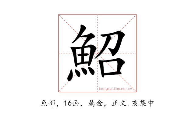 鮉