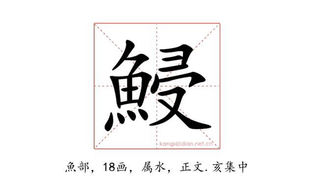 鮼