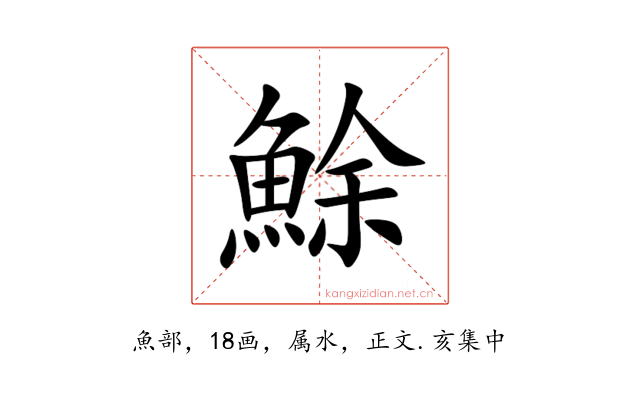 鮽