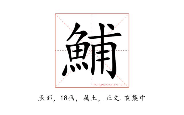 鯆