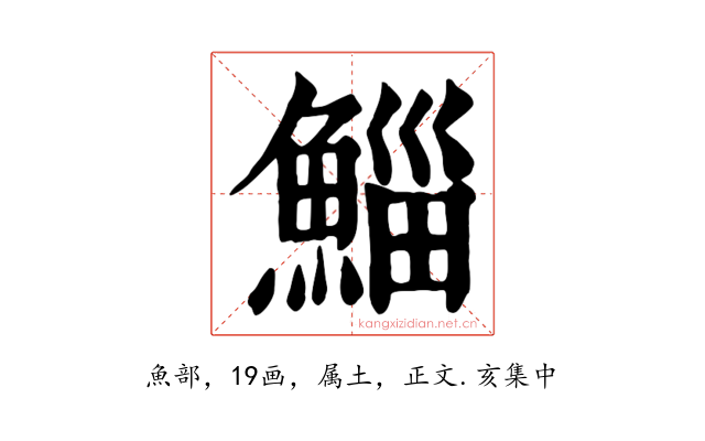 鯔