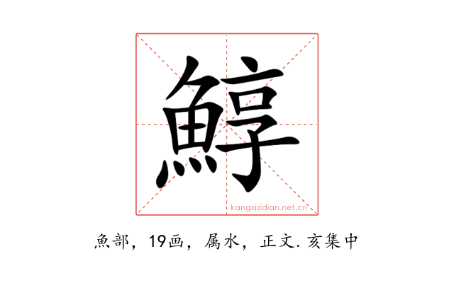 鯙