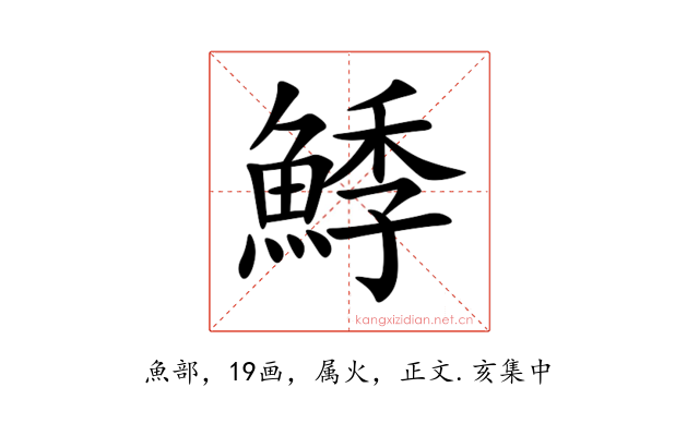 鯚