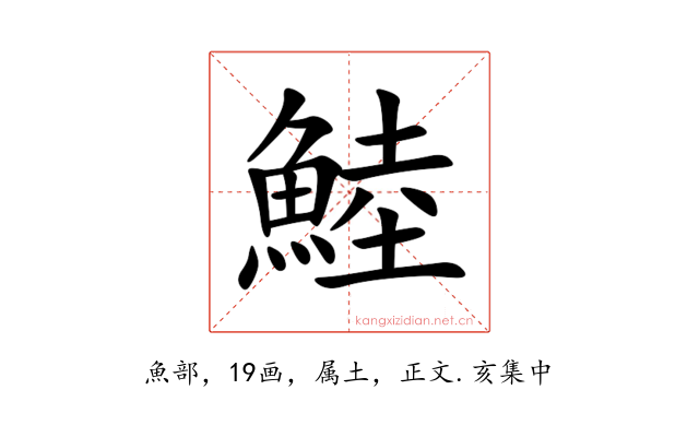 鯥