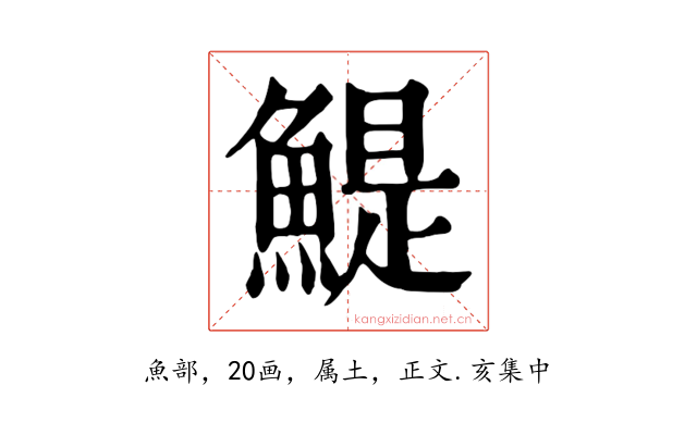 鯷
