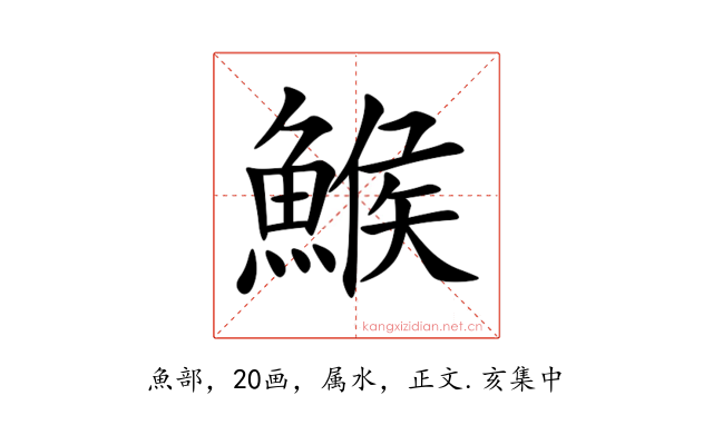 鯸