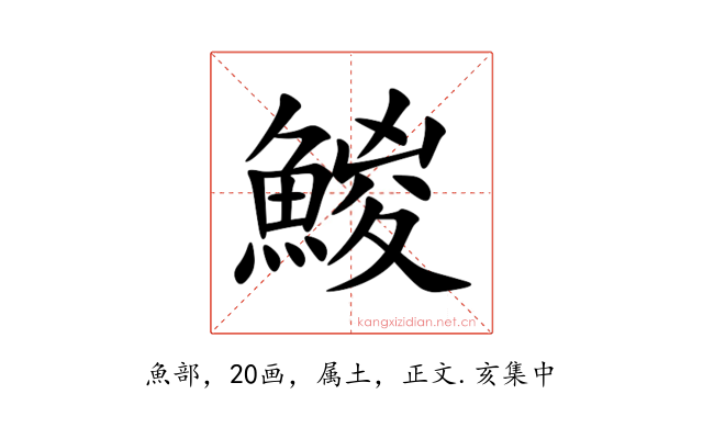 鯼