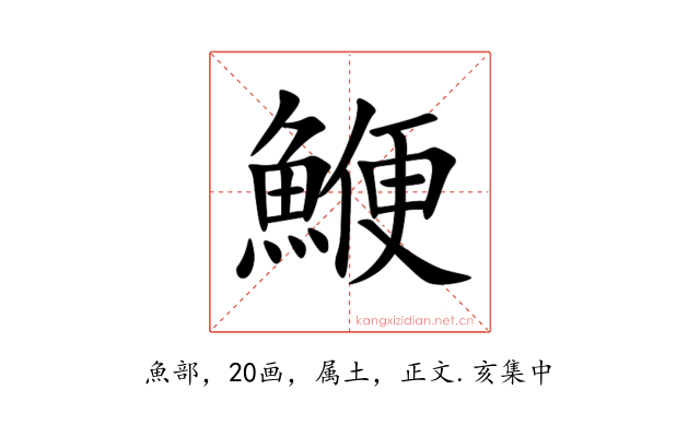 鯾