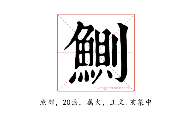鰂
