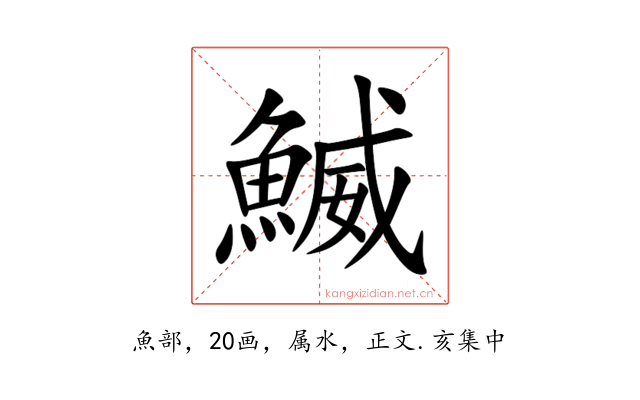 鰄