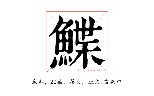 鰈