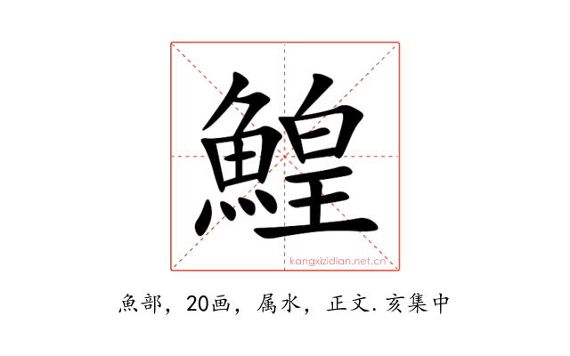 鰉