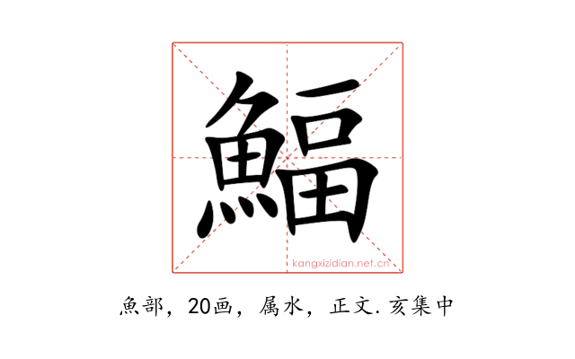 鰏