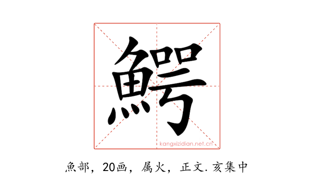 鰐