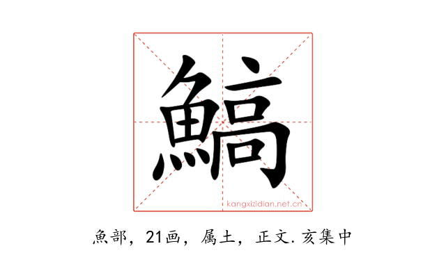 鰝