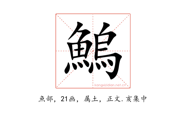 鰞