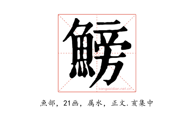 鰟