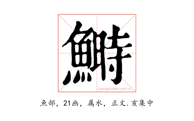 鰣