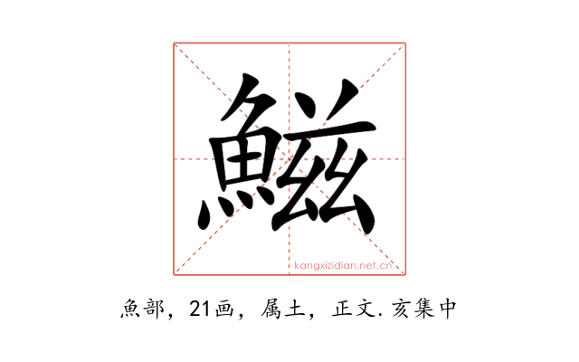 鰦