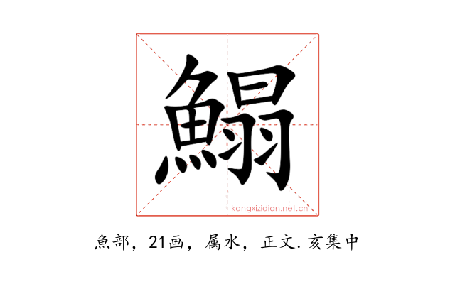 鰨