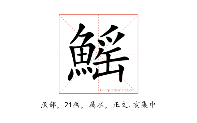 鰩
