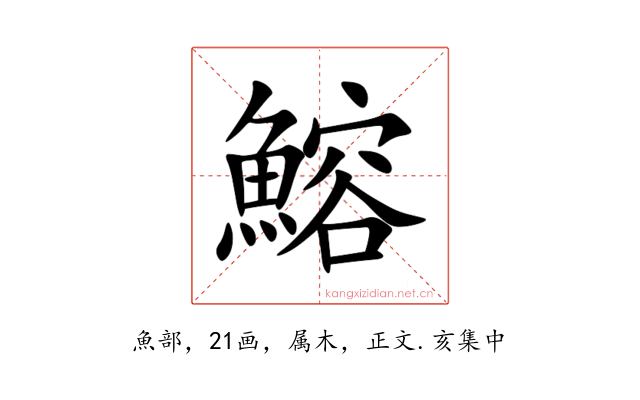 鰫