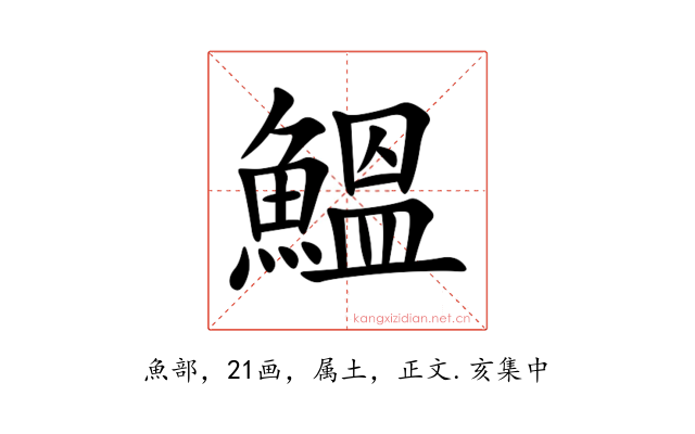 鰮