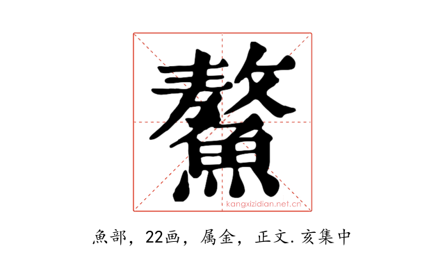 鰲