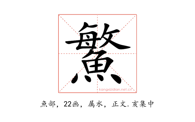 鰵