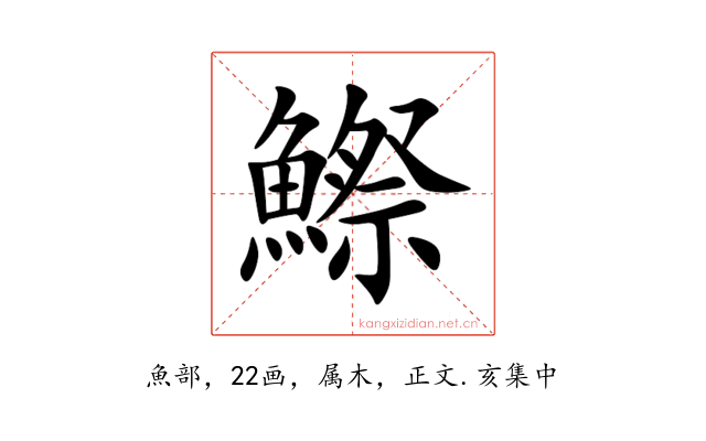 鰶