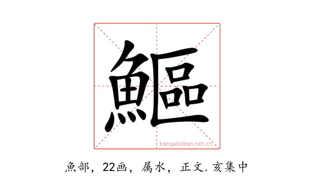 鰸