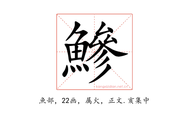 鰺