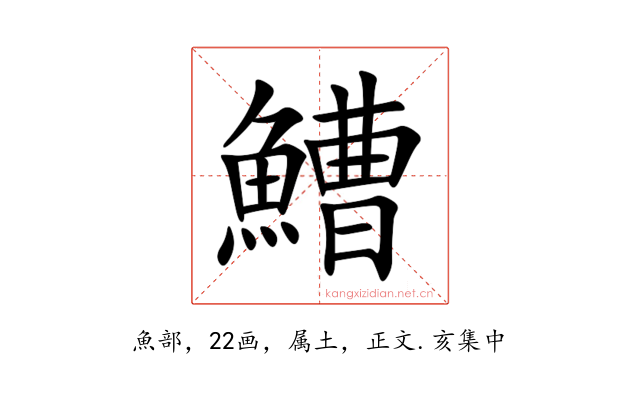 鰽