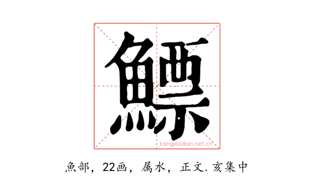鰾