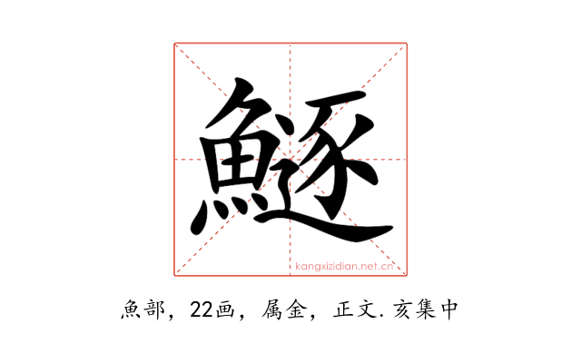 鱁