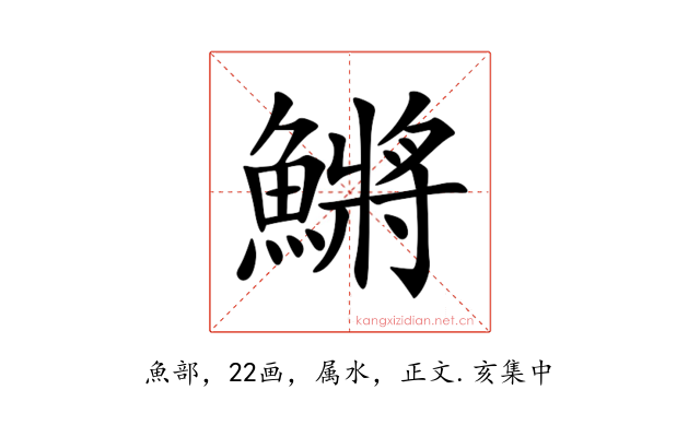 鱂