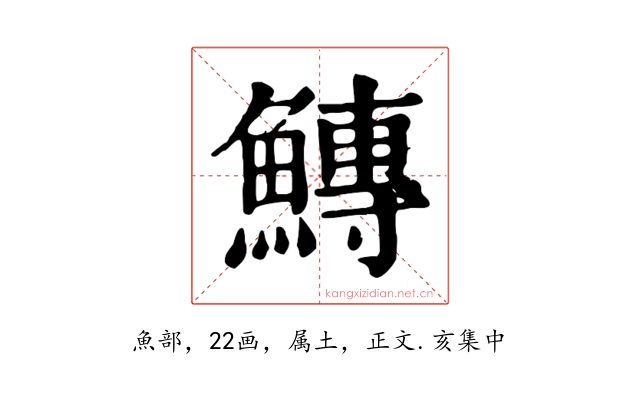 鱄