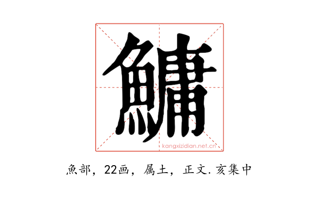 鱅