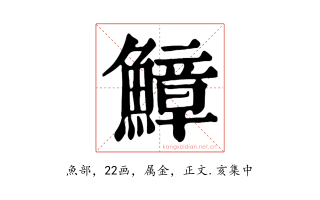 鱆