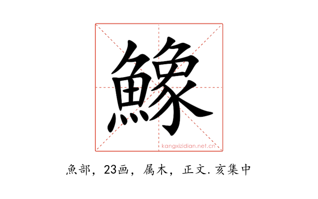 鱌