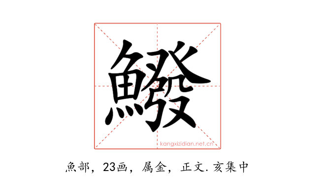 鱍