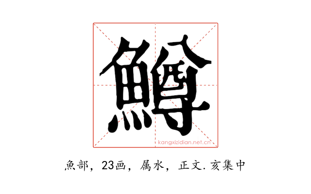鱒