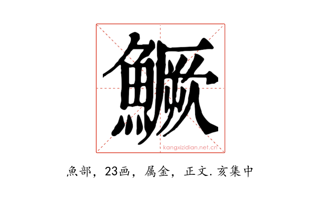 鱖