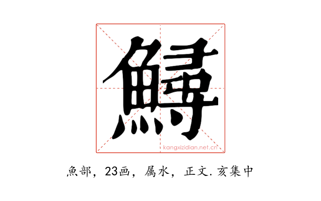 鱘
